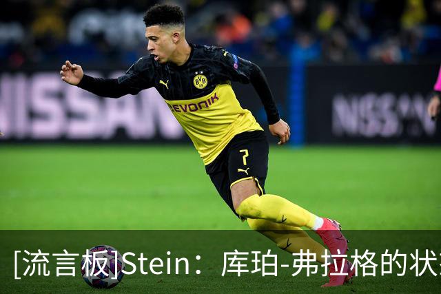 [流言板]Stein：库珀-弗拉格的状态从“存疑”升级为“可能出战”